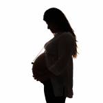 Anne JOLIVET - LES SENTIERS CREATIFS (PHOTOS EQUIVOX)