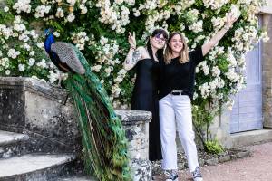 Alexis MESTRE - ALEXIS MESTRE